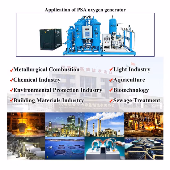 Utilisation du fournisseur du fabricant de haute pureté pour l'usine d'oxygène Psa médicale et industrielle